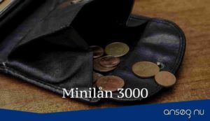 Minilån 3000